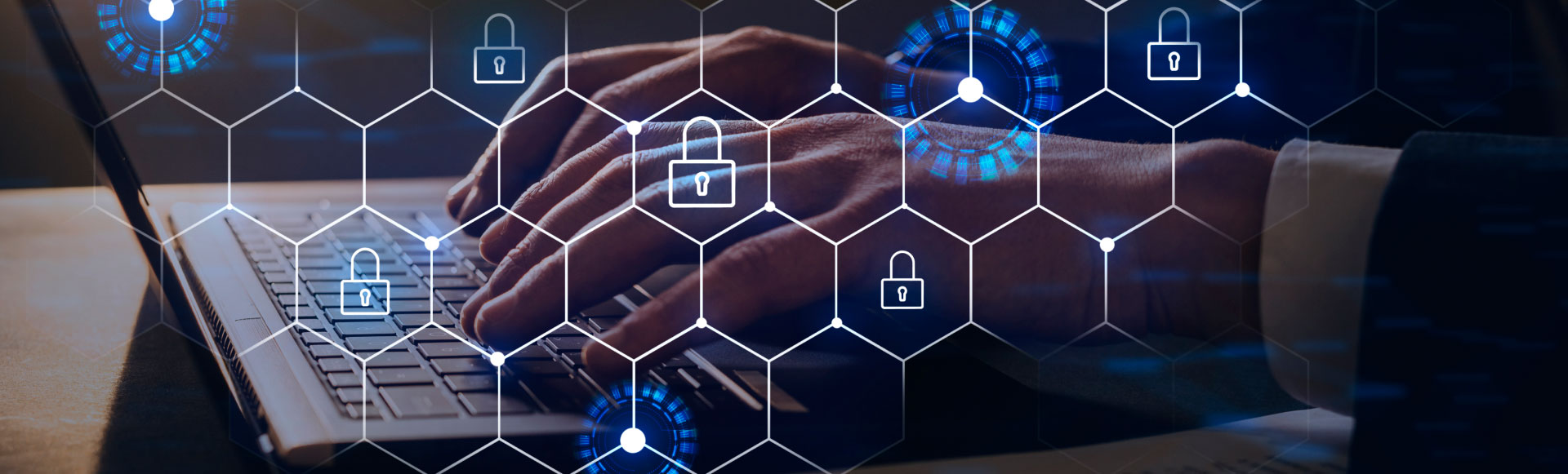 Termo de Privacidade